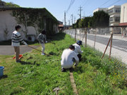 準備-皆で草取り